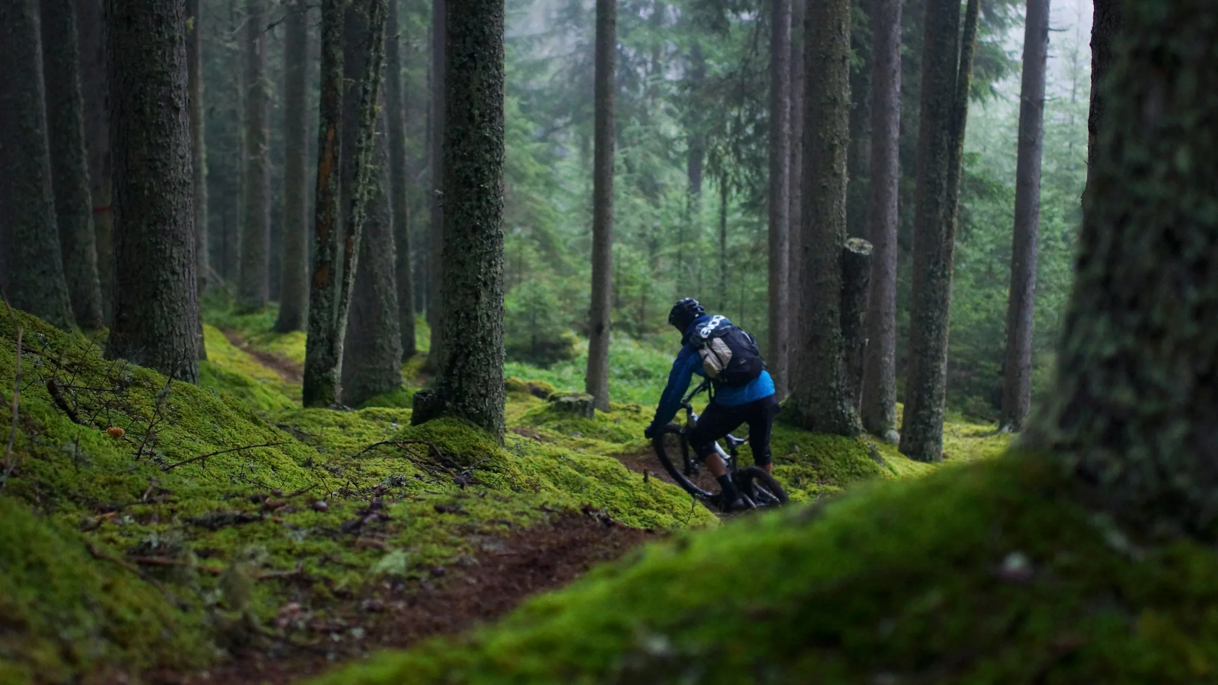 Mountainbiker auf einem Waldtrail